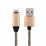 Câble USB / Lightning - 1M avec Adaptateur Chargeant et écoutant de la musique