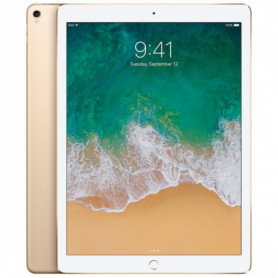iPad Pro 12.9" (2th génération) 256 Go 4G A1671 Or - Neuf Sans Boîte Originale