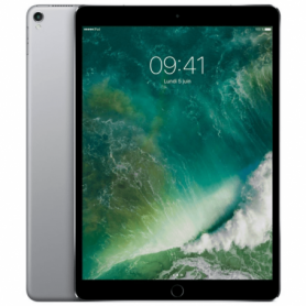 iPad Pro 12.9" (2th génération) 512 Go 4G A1671- Gris - Neuf Sans Boîte Originale