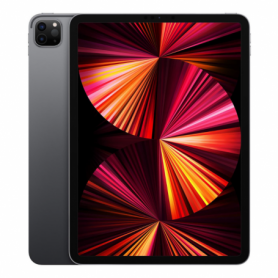 iPad Pro 11" 2021 256 Go WiFi Apple M1 - Gris - Neuf