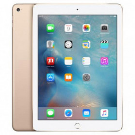 iPad Air 2 16 Go Wi-Fi Or - Grade E