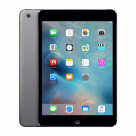 iPad Mini 2 16 Go Wi-Fi Gris - Grade D