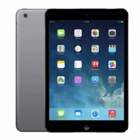 iPad Mini 16 Go Wi-Fi Gris - Grade E