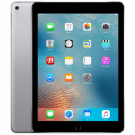 iPad Pro 9.7" 128 Go Cellular Gris - Grade D