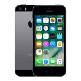 iPhone 5S 16 Go Gris - Grade A