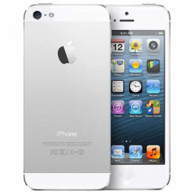 iPhone 5S 16 Go Argent - Grade AB