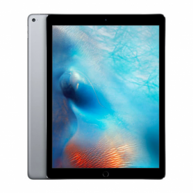 iPad Pro 12,9" 2015 128 Go Cellular Gris - Grade D